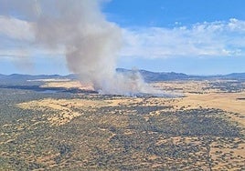 Incendio forestal declarado en Torremocha.