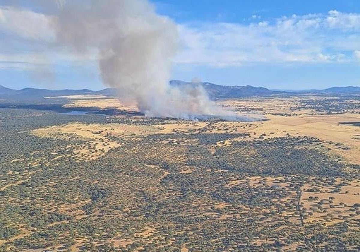Incendio forestal declarado en Torremocha.