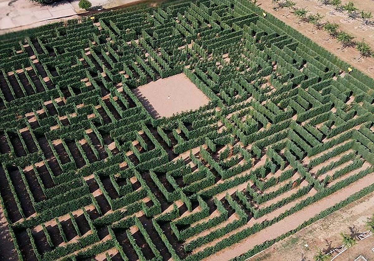 Laberinto victoriano