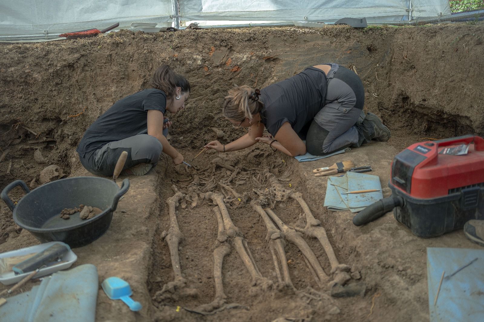 Fotos | Estas son las fosas exhumadas en Bodonal de la Sierra
