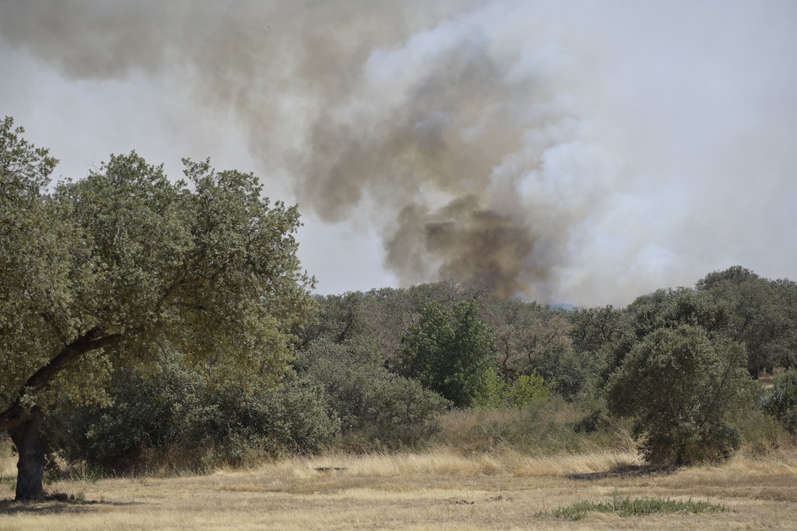 Fotos | Este es el fuego que quema Tres Arroyos por segundo día consecutivo