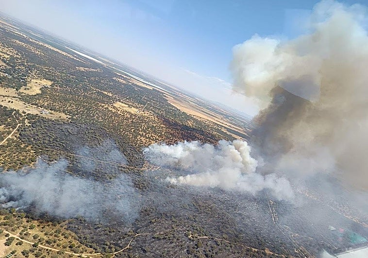 Incendio originado en la dehesa de Tres Arroyos este jueves.