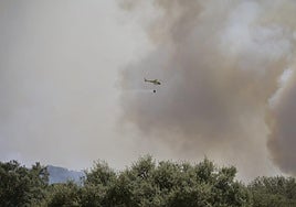 Incendio originado en la dehesa de Tres Arroyos este jueves.