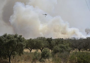 Fotos | Este es el fuego que quema Tres Arroyos por segundo día consecutivo