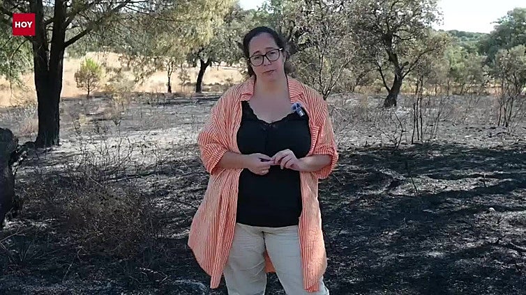 Los incendios han calcinado 200 hectáreas del parque de Tres Arroyos en Badajoz