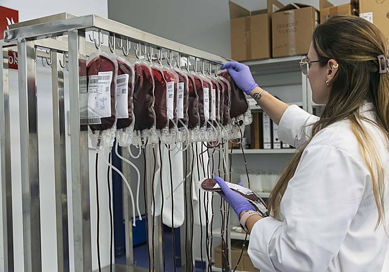Una sanitaria clasifica donaciones en el Banco de Sangre de Extremadura.