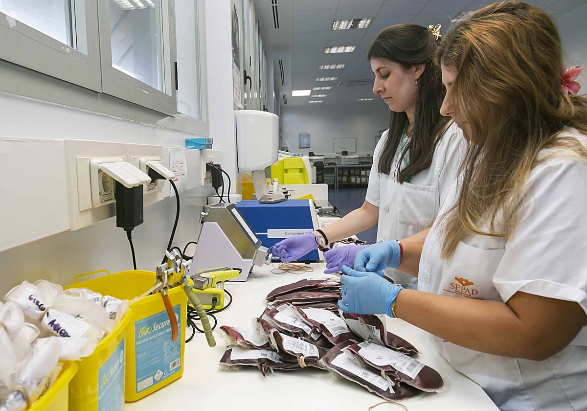 Dos sanitarias clasifican donaciones en el Banco de Sangre de Extremadura.