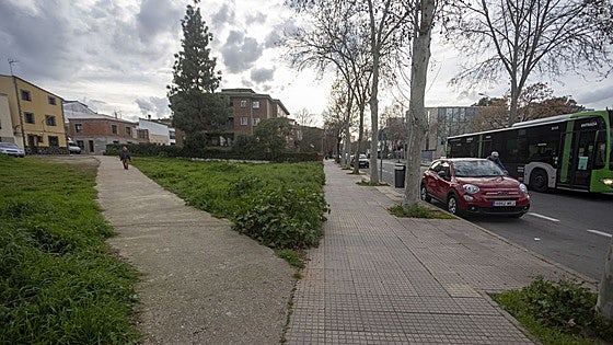 Sale a concurso el proyecto para el nuevo PAC de la avenida de la Hispanidad de Cáceres