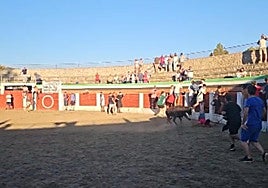 Momento de una cogida en la plaza de toros de Villamiel.