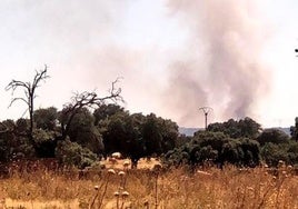 Incendio en Valdecaballeros.