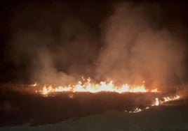 Incendio de pastos en la madrugada del domingo en el Cerro de Reyes