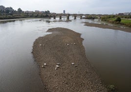 El nivel del Guadiana ha vuelto a bajar debido a las obras.