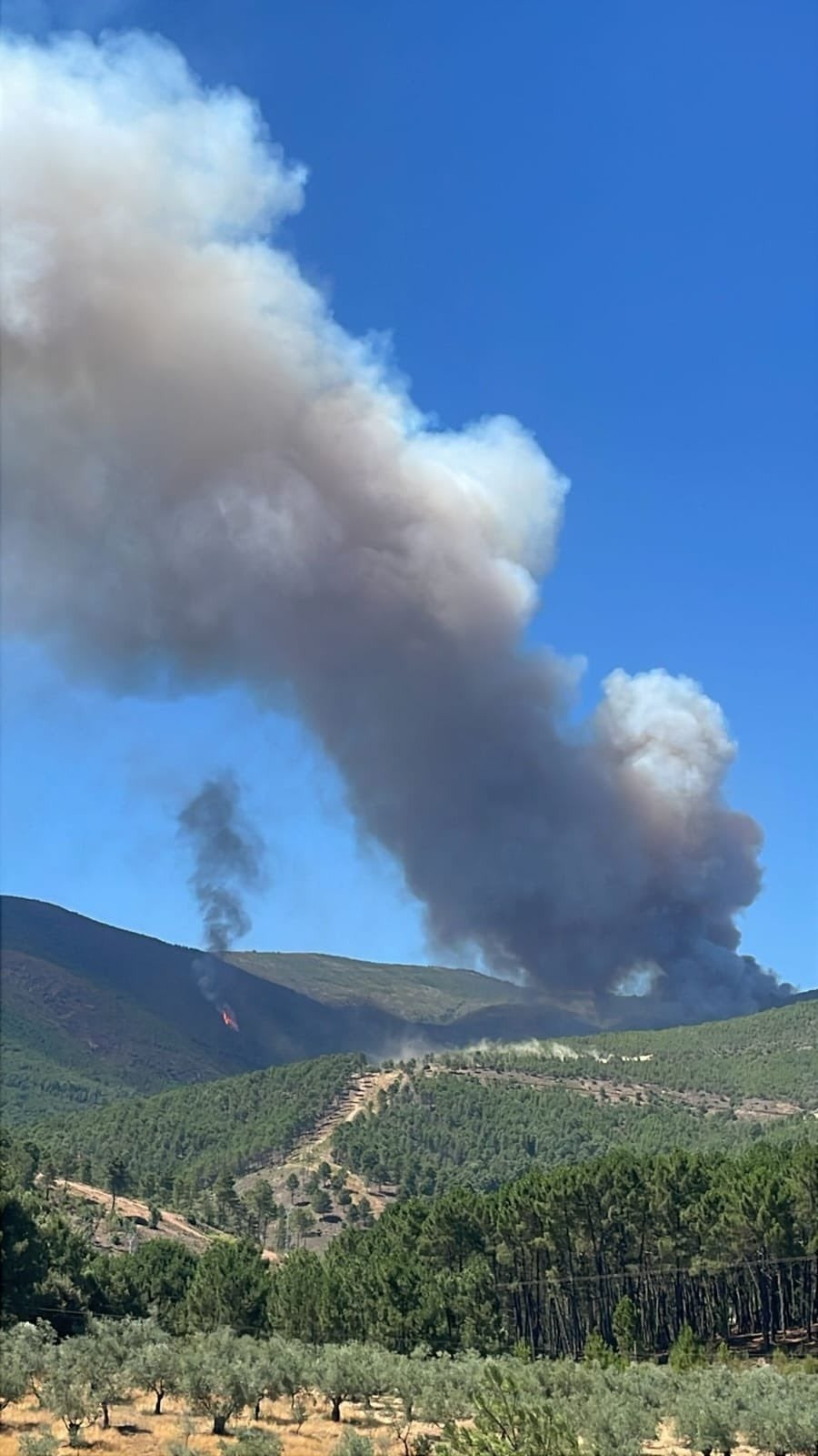 Fotos | Así está el aparatoso incendio de Las Hurdes