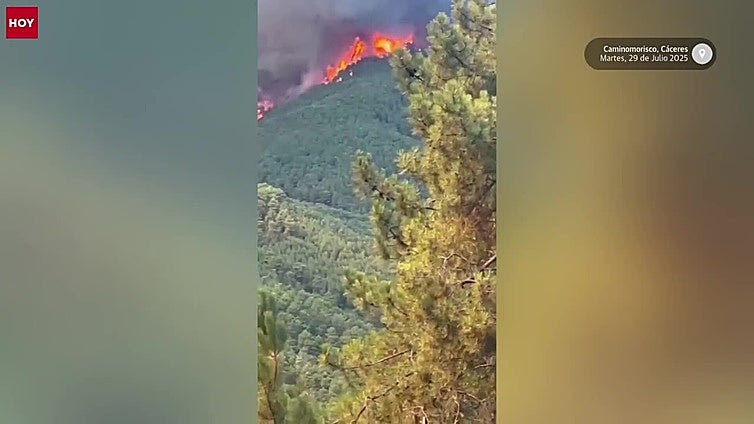 El Infoex pide medios estatales para extinguir el incendio forestal de Las Hurdes