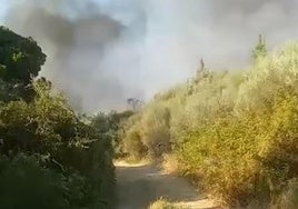 Incendio forestal en Acebo.