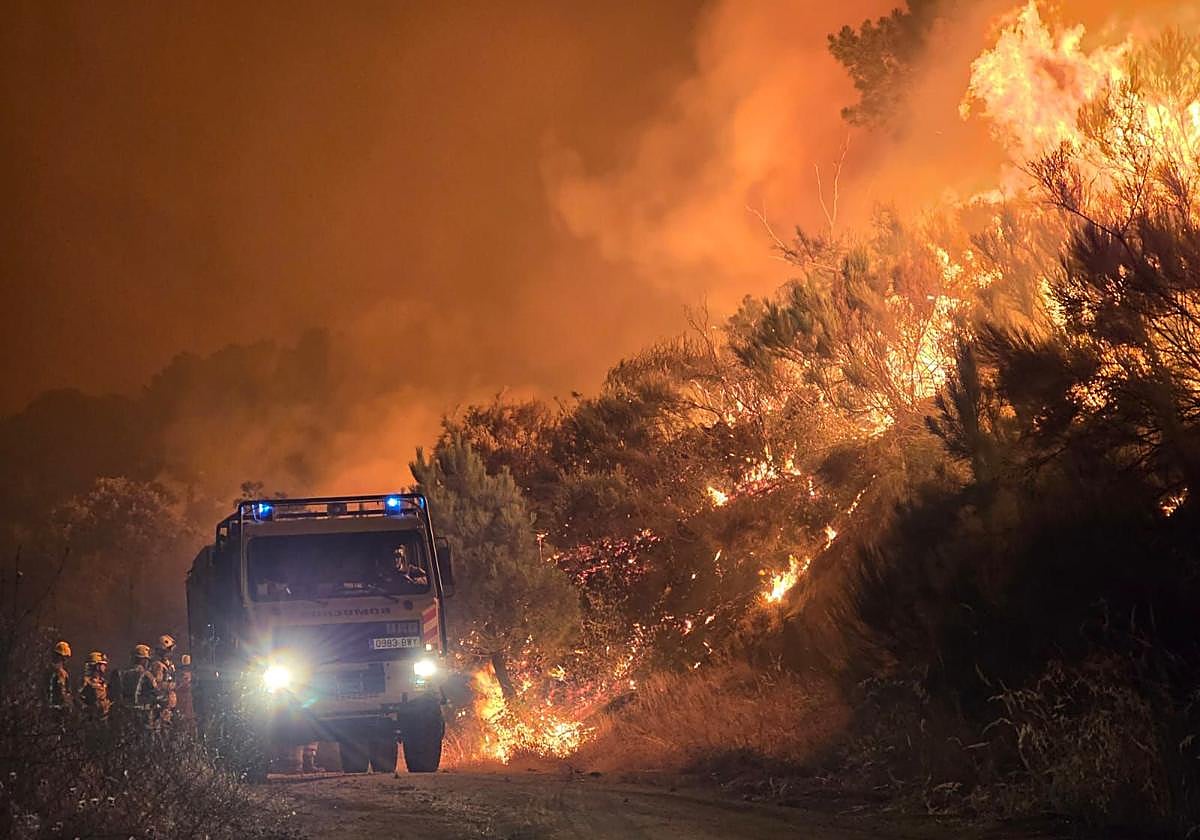 Cuáles son los niveles de riesgo de incendios forestales y qué significa cada uno