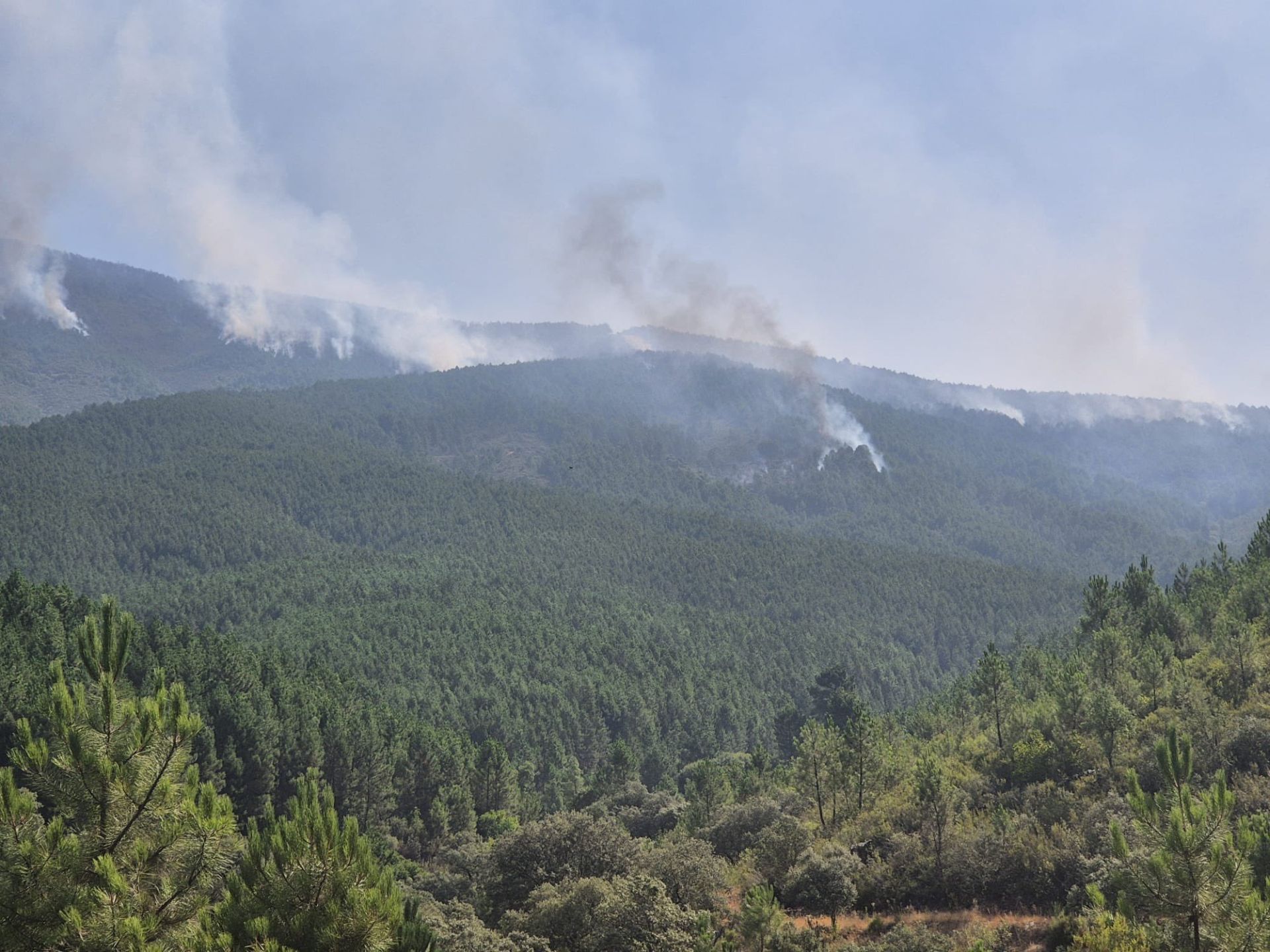 Columnas de humo captadas a mediodía de este miércoles