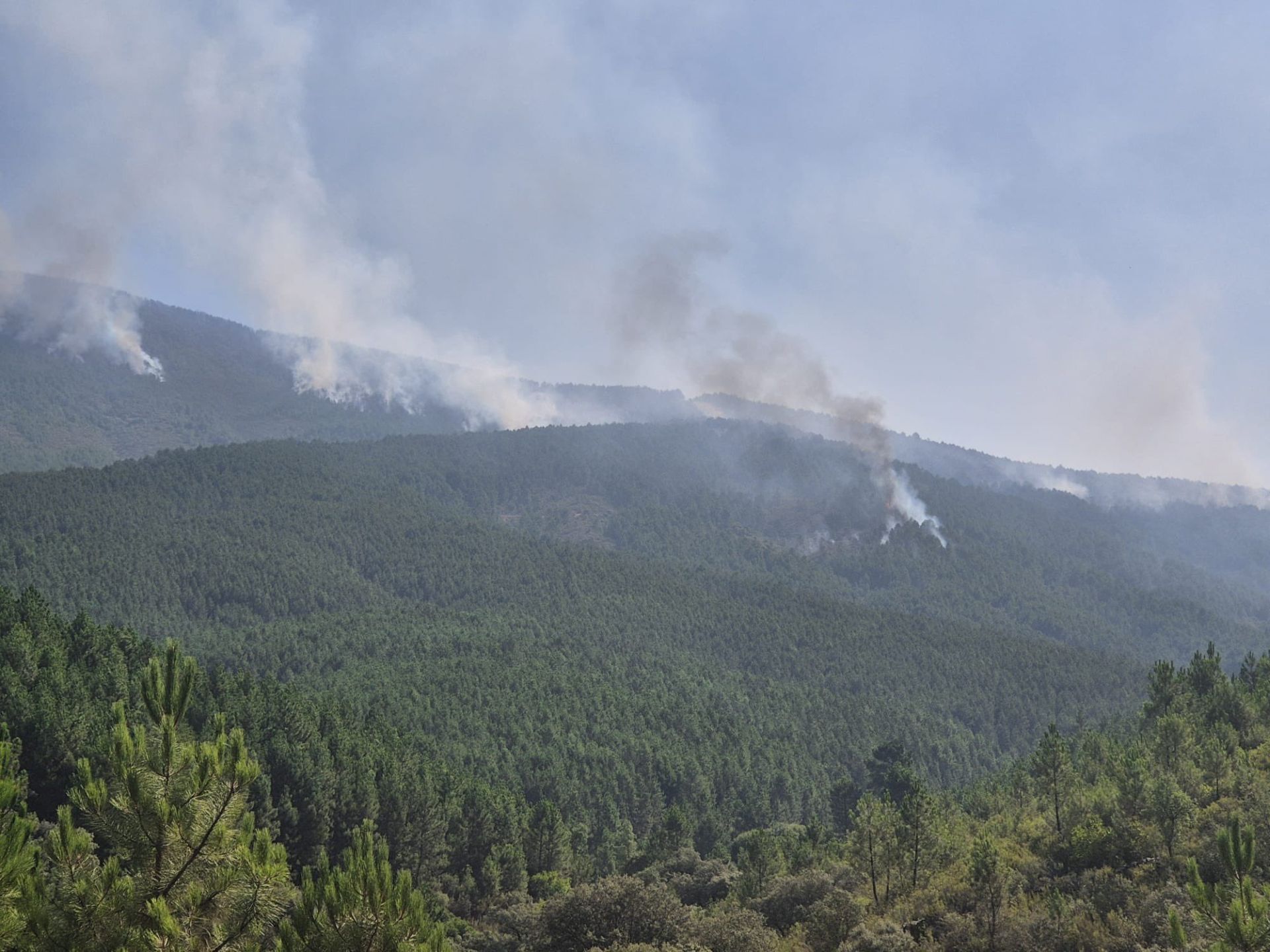 Columnas de humo captadas a mediodía de este miércoles