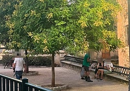 Imagen habitual de la plaza de la Concepción, donde los vecinos han alertado del aumento de personas que consumen alcohol y otras sustancias en la vía pública.