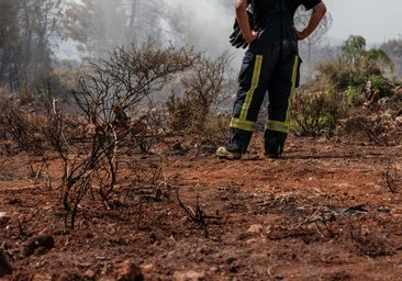 Qué se necesita para ser bombero forestal: oposiciones, requisitos y cuánto ganan