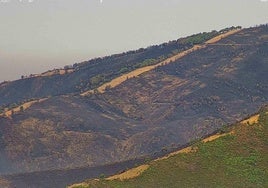Imagen aérea de la superficie quemada en Las Hurdes.