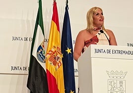 Elena Manzano, esta mañana, en rueda de prensa en Presidencia.