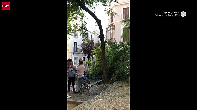 Un hombre, herido por la caída de un árbol en Capitanía en Badajoz