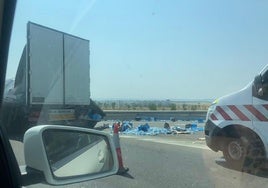 Un camión pierde parte de la carga en la glorieta de la carretera de Campomayor