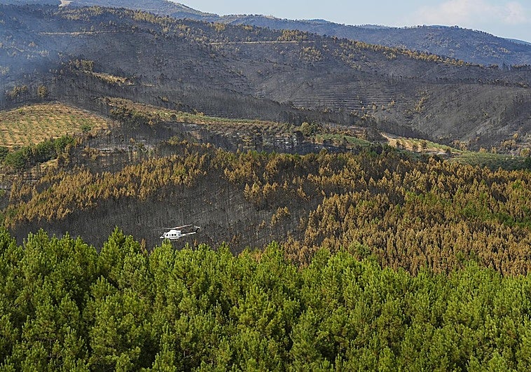 Un helicóptero sobrevuela la zona del incendio este pasado jueves.