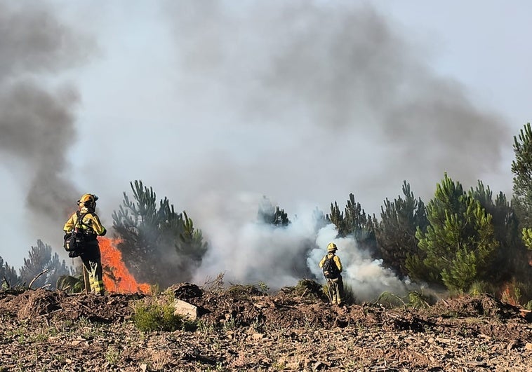 Bomberos trabajan en el fuego de Caminomorisco.