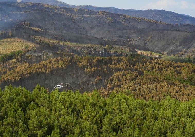 El Infoex da por controlado el incendio en Las Hurdes y desactiva el nivel 1