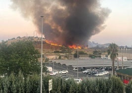 Los bomberos de Cáceres sofocan un incendio en el Cerro de los Pinos