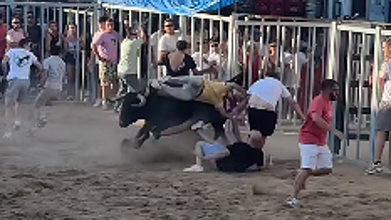 Gran susto en el segundo encierro del toro de José Luis Bertol este domingo en Portaje