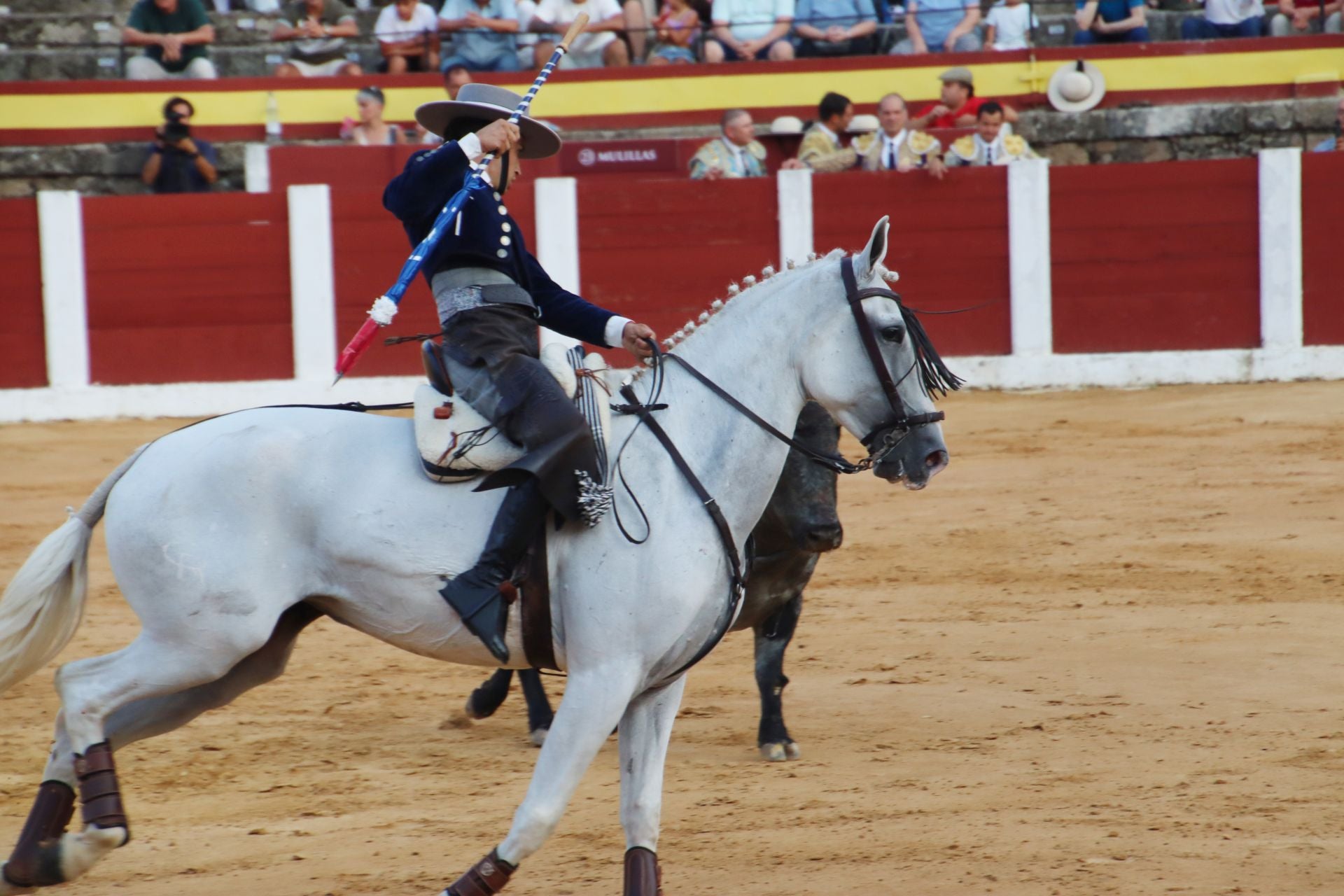 El festejo mixto en Plasencia, en imágenes