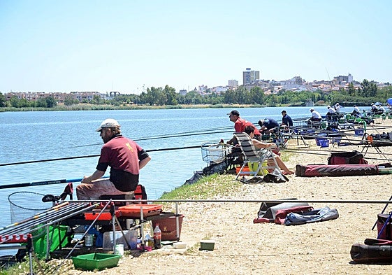 Pescadores en el tramo urbano del río Guadiana en Mérida.