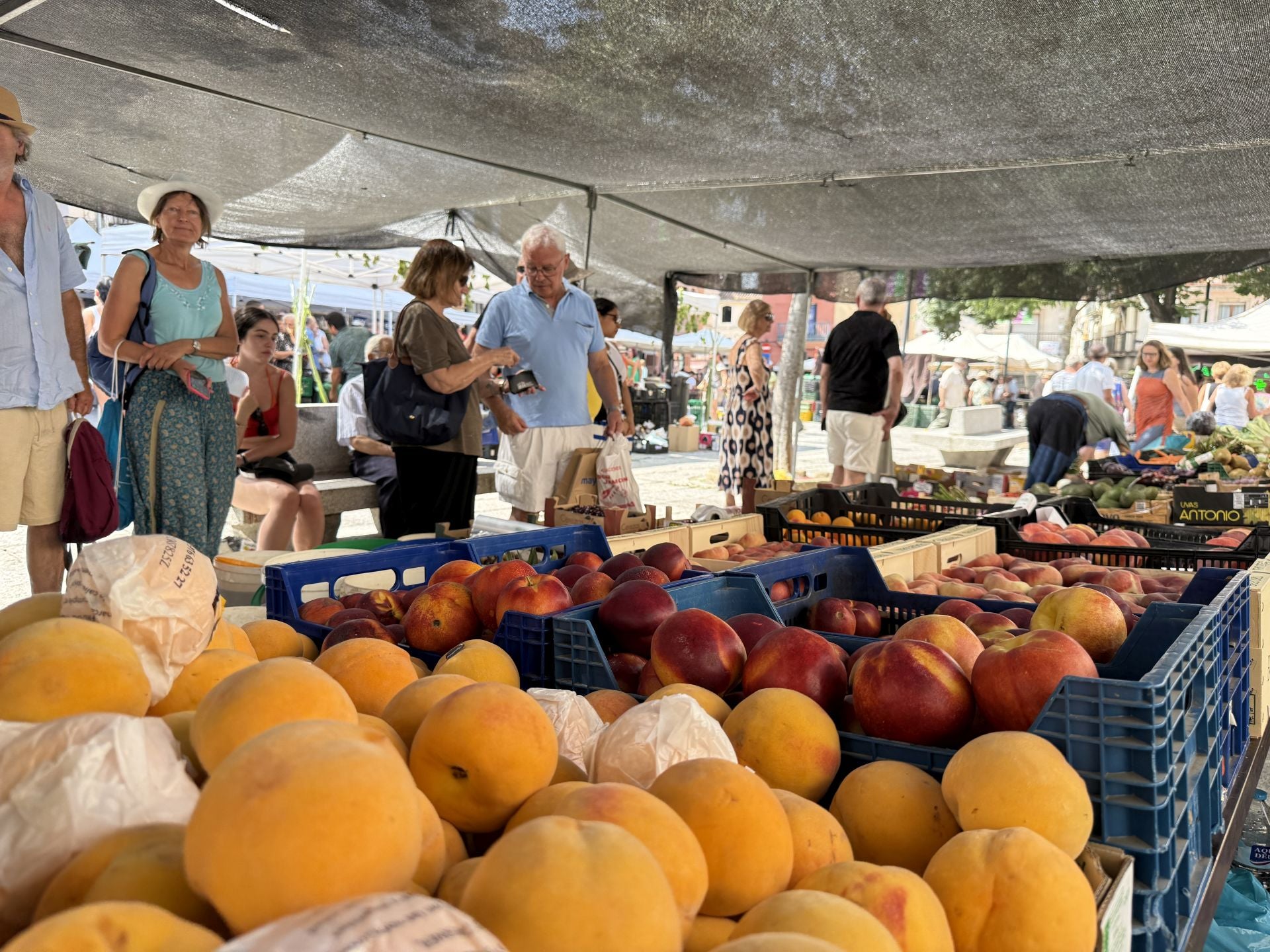 La celebración del Martes Mayor en Plasencia, en imágenes