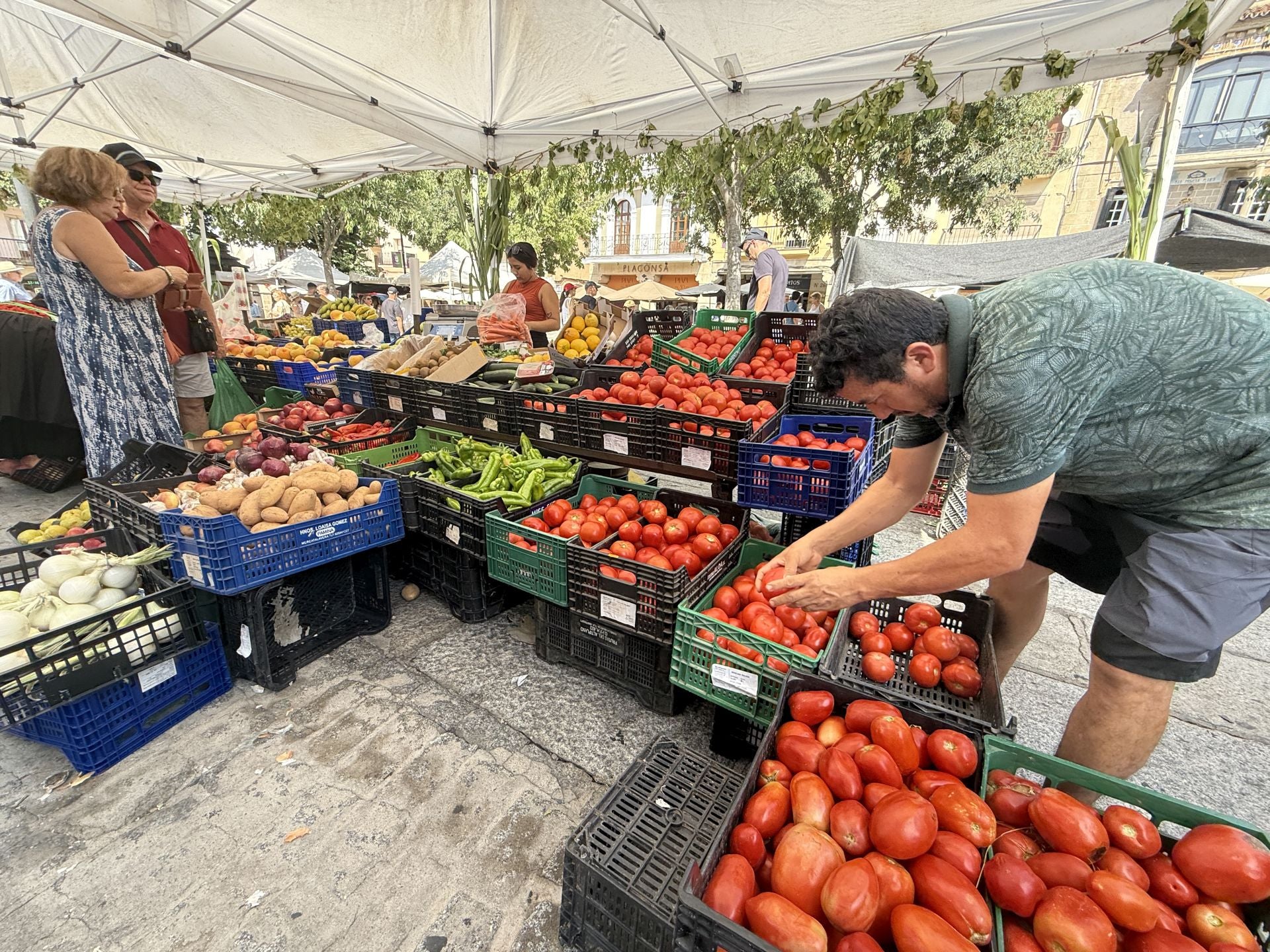 La celebración del Martes Mayor en Plasencia, en imágenes