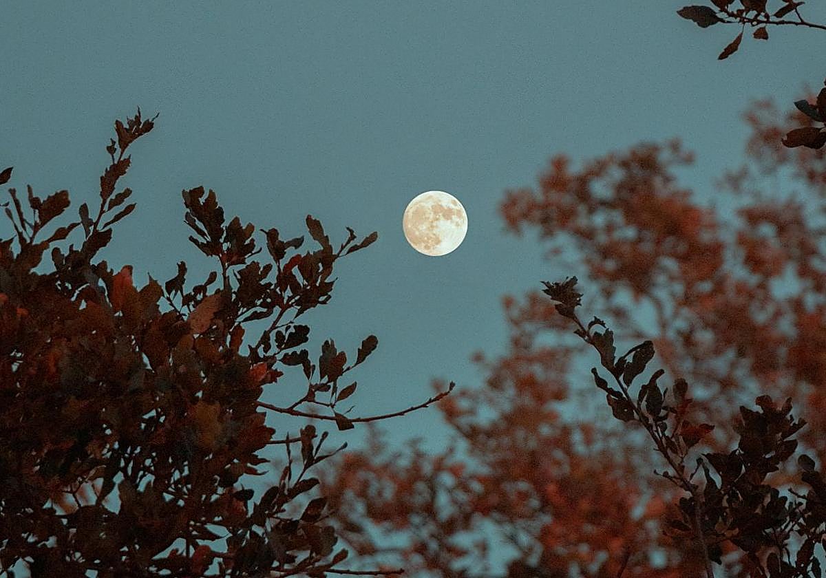 Imagen de archivo de una luna llena