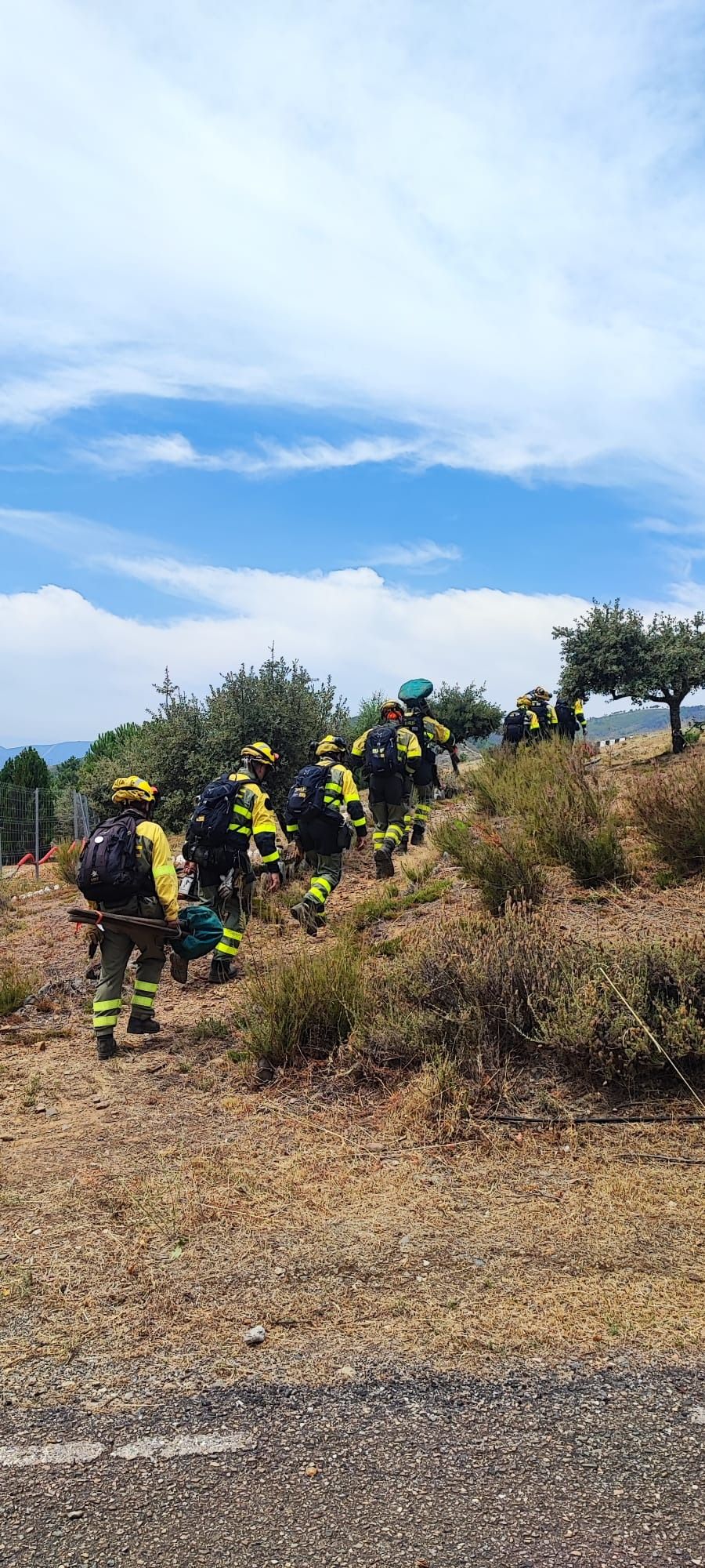 Las Brigadas de Refuerzos contra Incendios Forestales (Brif) intervienen en el fuego.