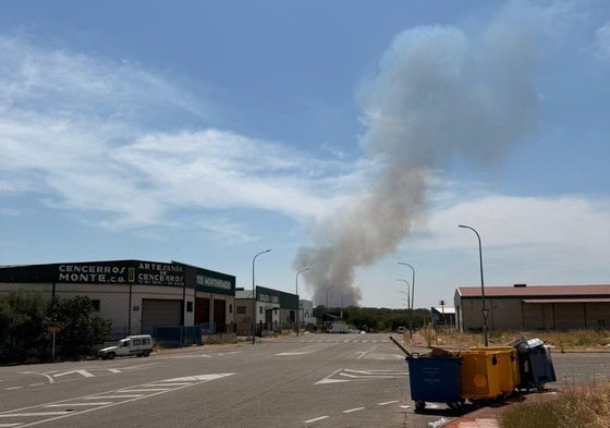 Columna de humo generada por el fuego.