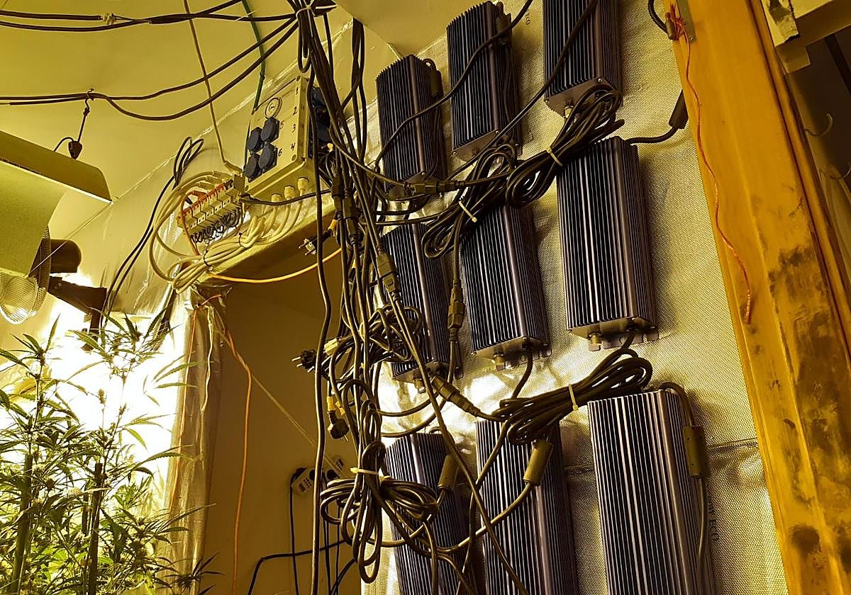 Enganches ilegales en una instalación eléctrica.