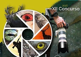 Cartel del concurso fotográfico.