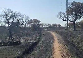 Imágenes captadas en los senderos de Tres Arroyos.
