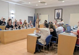Momento del pleno del pasado mes de junio.