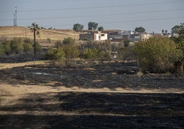 El último incendio fue entre La Banasta y Las Vaguadas.