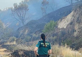 La Guardia Civil se encargó de evacuar a los vecinos de Cabezabellosa.