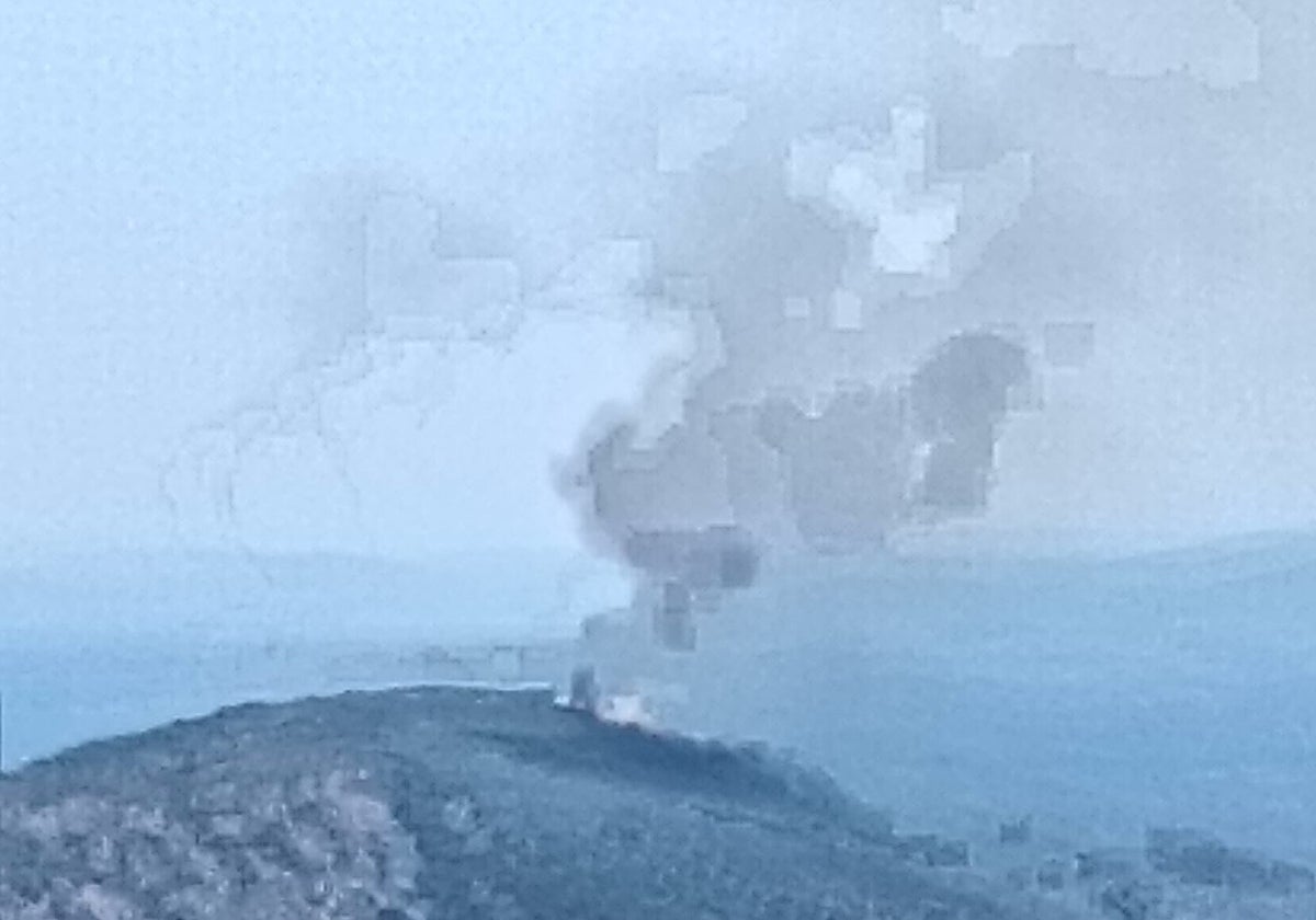 Imagen del fuego que afecta al parque nacional.