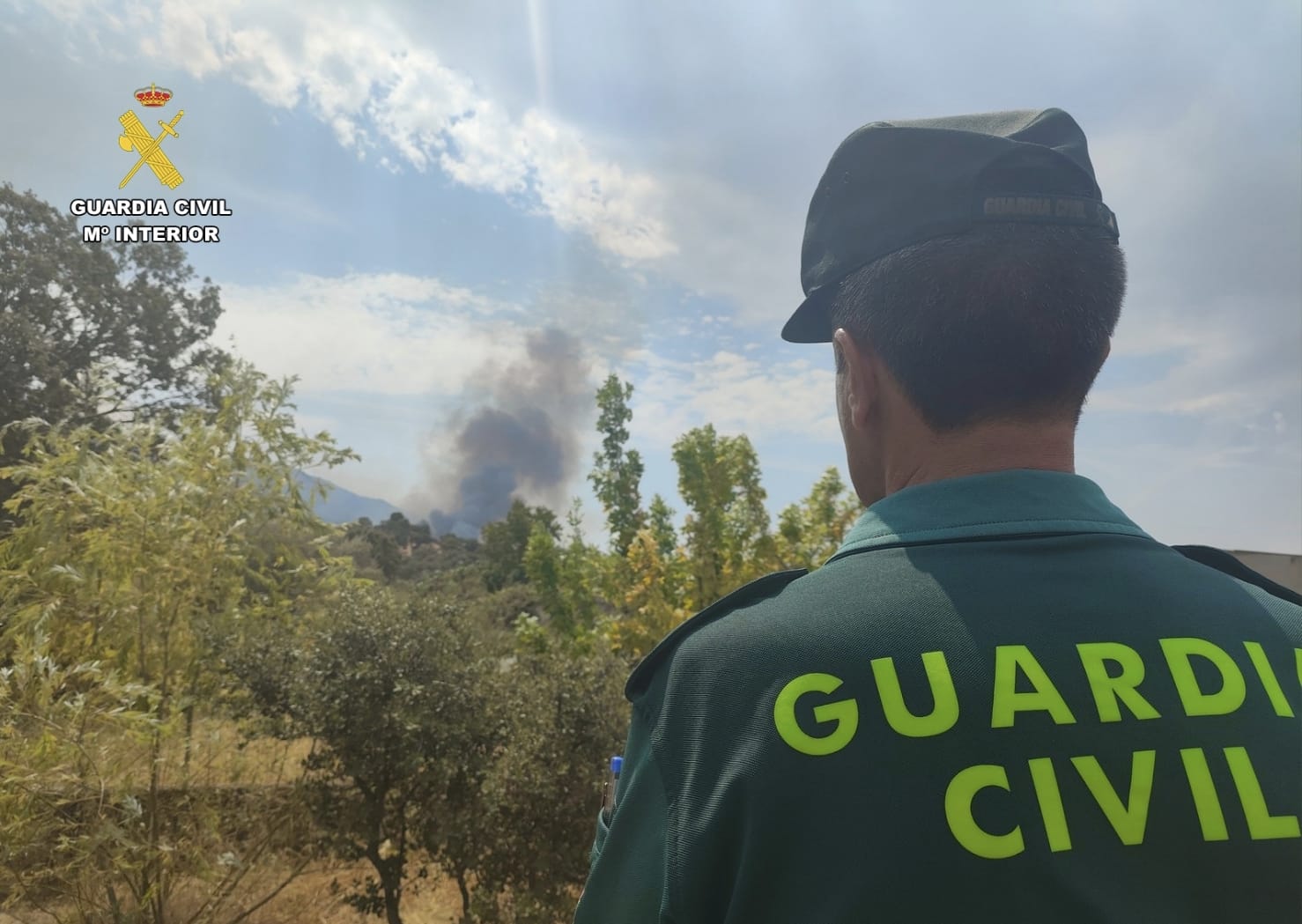 El incendio de Jarilla, en imágenes