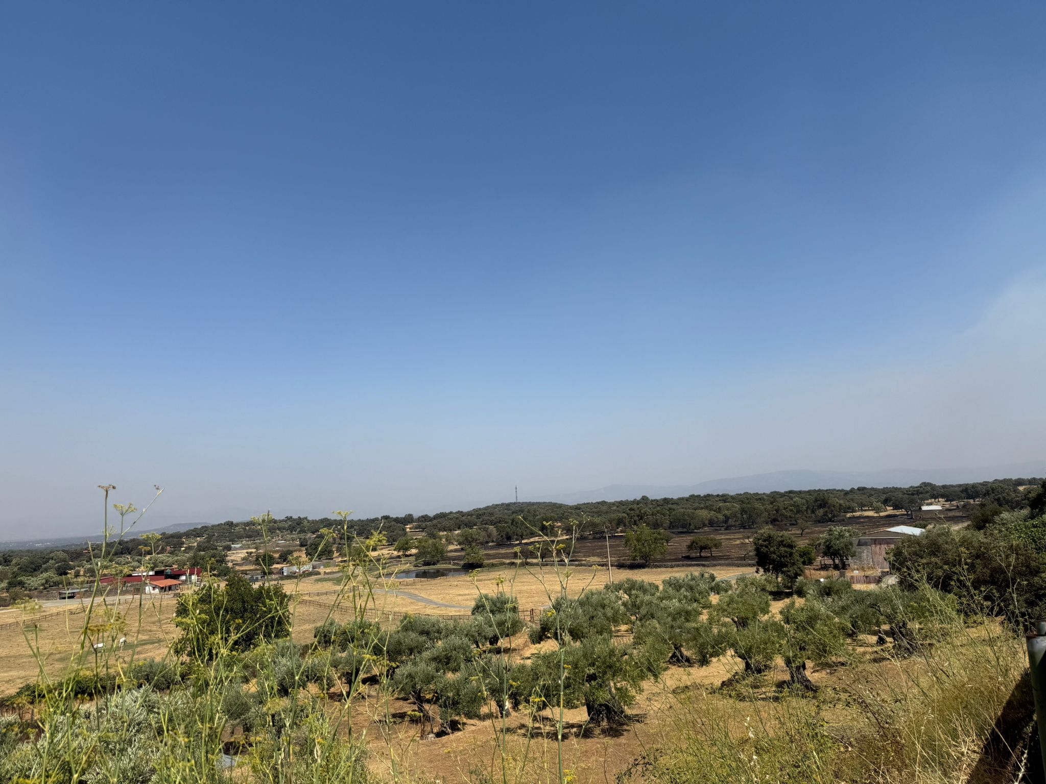Así ha quedado la comarca de Trasierra tras el incendio de Jarilla