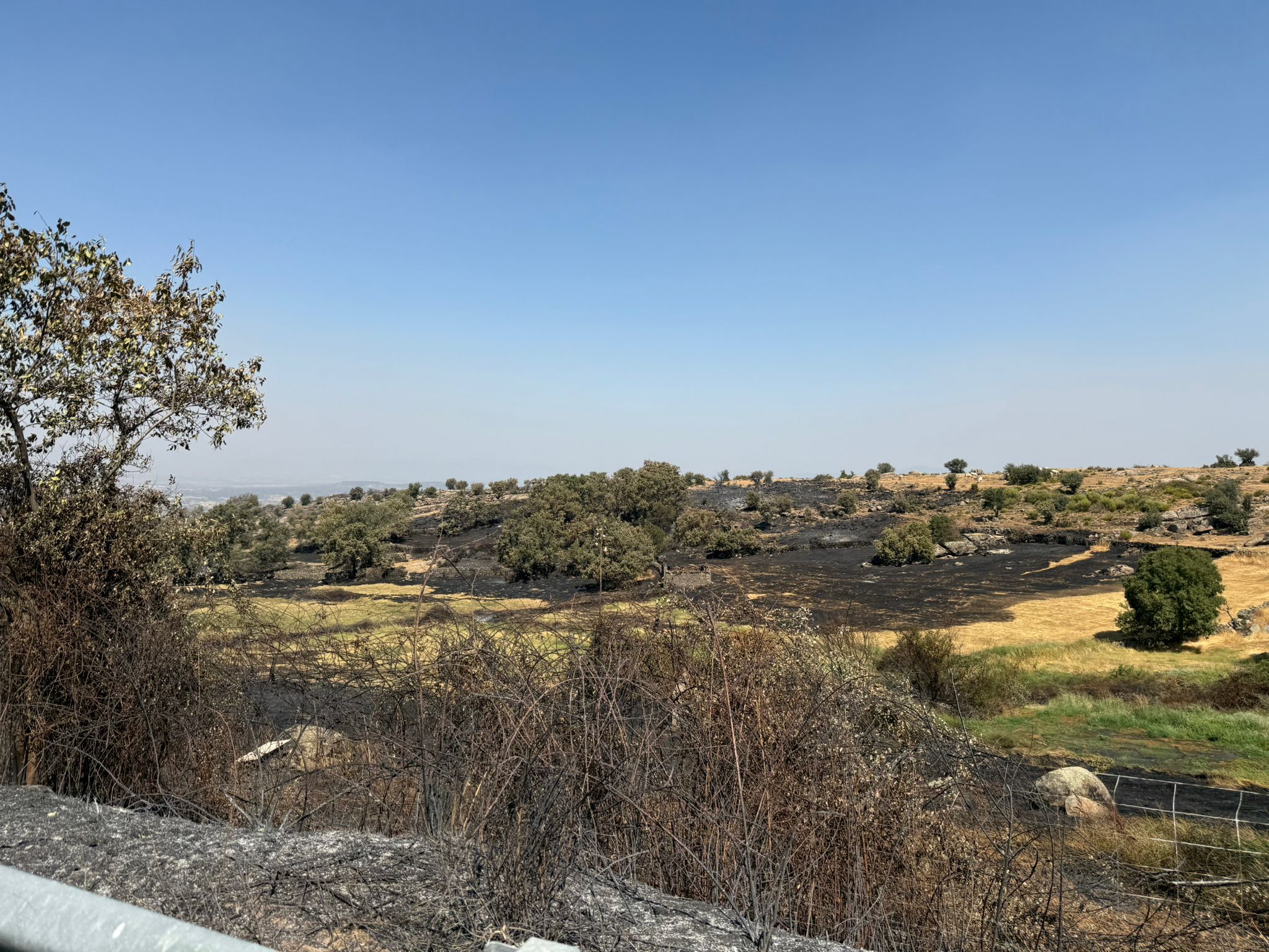 Así ha quedado la comarca de Trasierra tras el incendio de Jarilla